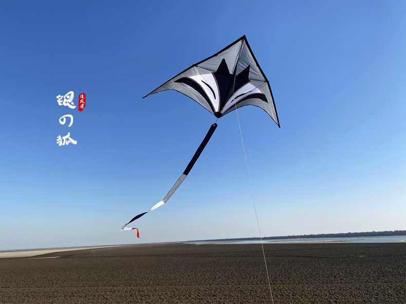 2022新款追风者风筝潍坊新款银狐风筝追风者大型10米长尾成人儿童初学