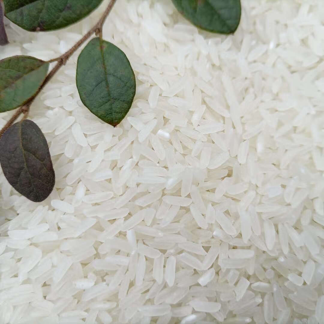 新稻新碾杂交丝苗50斤25公斤泰香米煲仔饭用米软糯适中安徽农家 24.8k