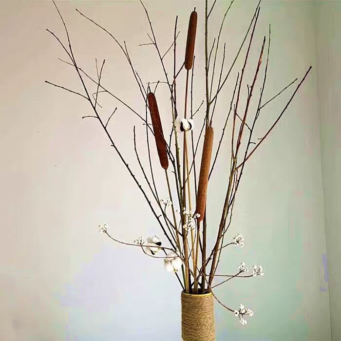 芊阙天然香蒲棒干花家居装饰摆件摄影道具水风干植物干枝蒲绒20支60