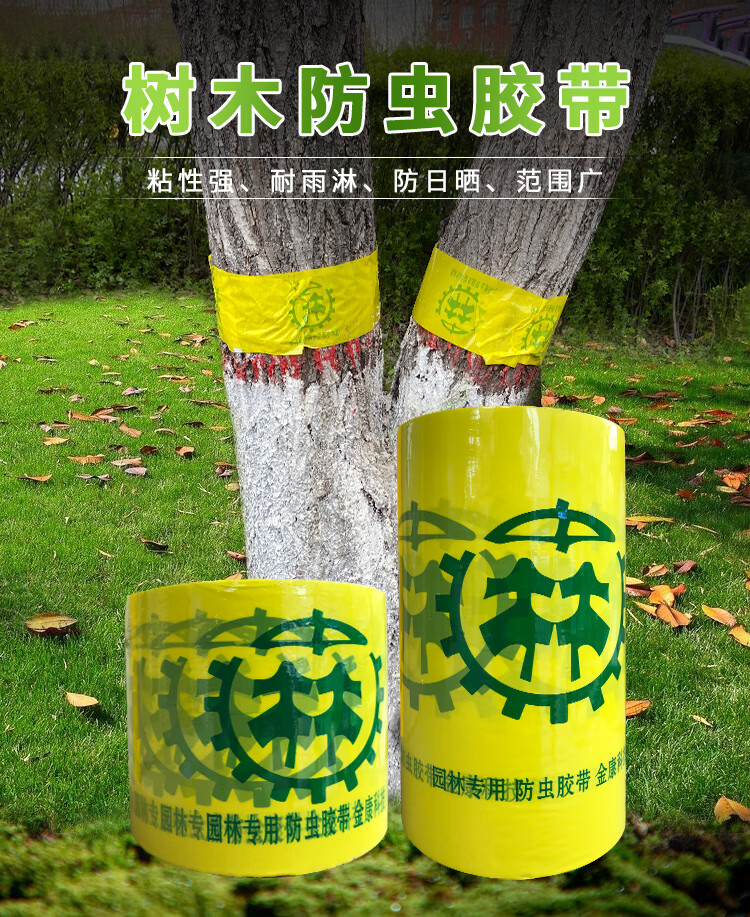 树木防虫胶带黏虫 粘虫 林业专用药物胶带 树木果树园林 15cm*50米