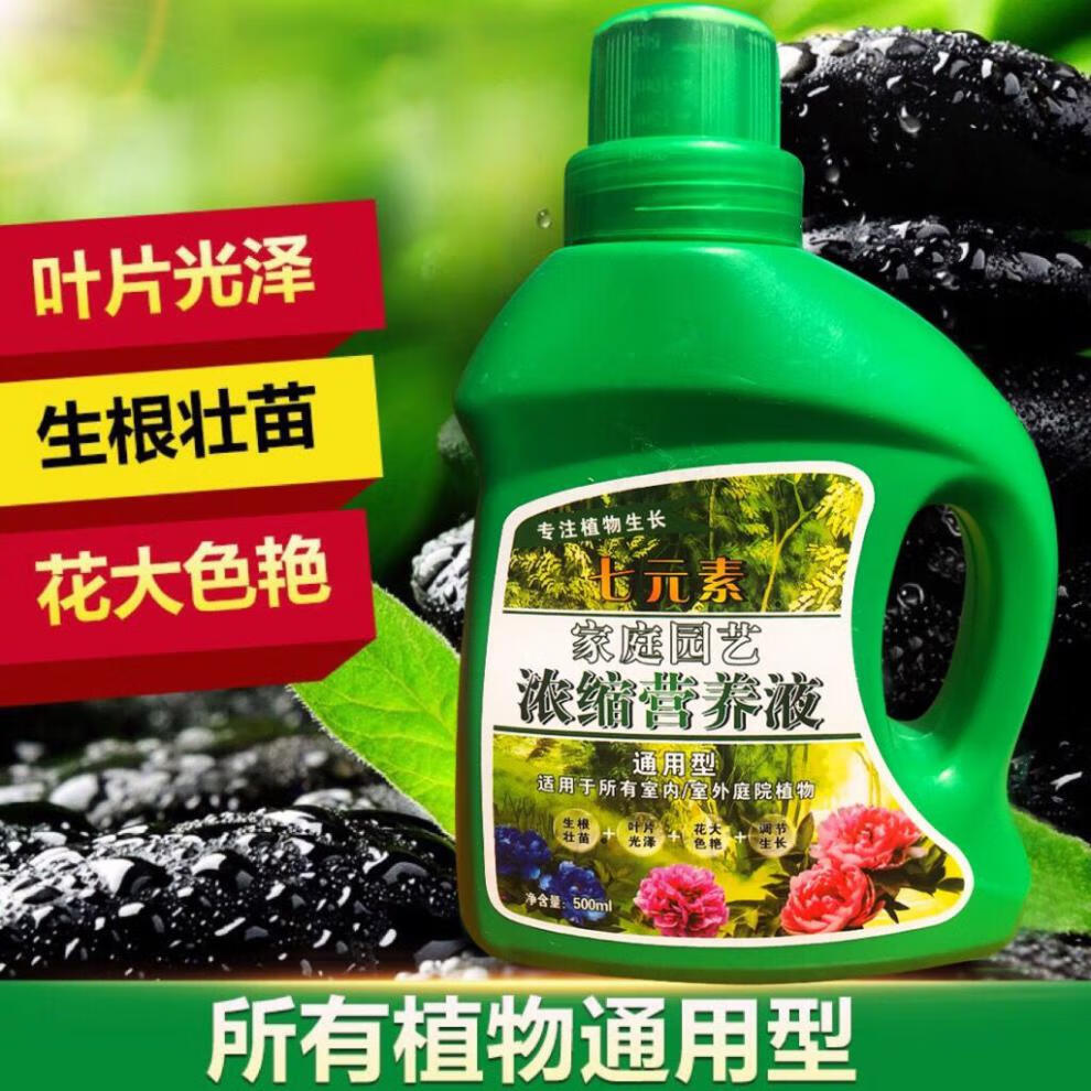 芊阙矾肥水氨基酸植物通用型营养液土水培盆栽花卉绿萝富贵竹发财液体