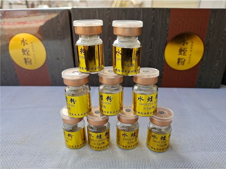 菲牛蛭冻干粉 水蛭粉(买3 1)素头唾液提取物800atu/g一个疗程30瓶菲牛