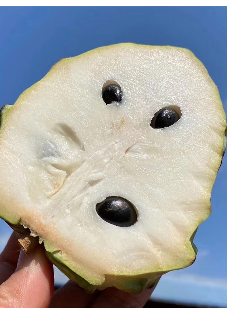 释迦果林檎果新鲜水果番4/6/8个装枝摩尼果佛头果刺果 8个装 精选装