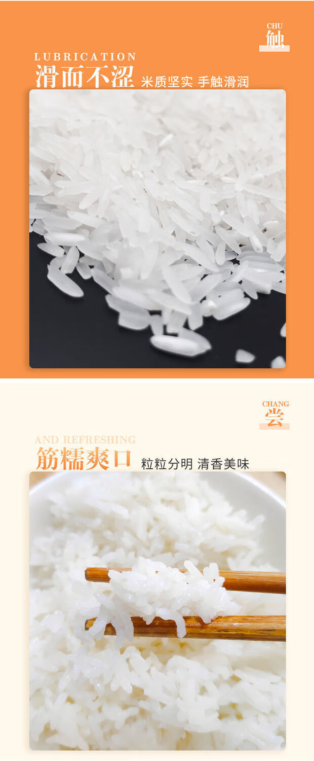 大米 湖南传统好米猫牙米10斤新米哲农大米真空籼米农家口感好5kg 新