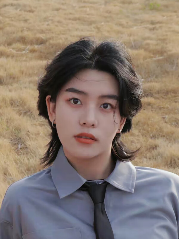 木村拓哉同款表演假发男舞台道具长发帅气狼尾鲻鱼头中分整顶发套 浅