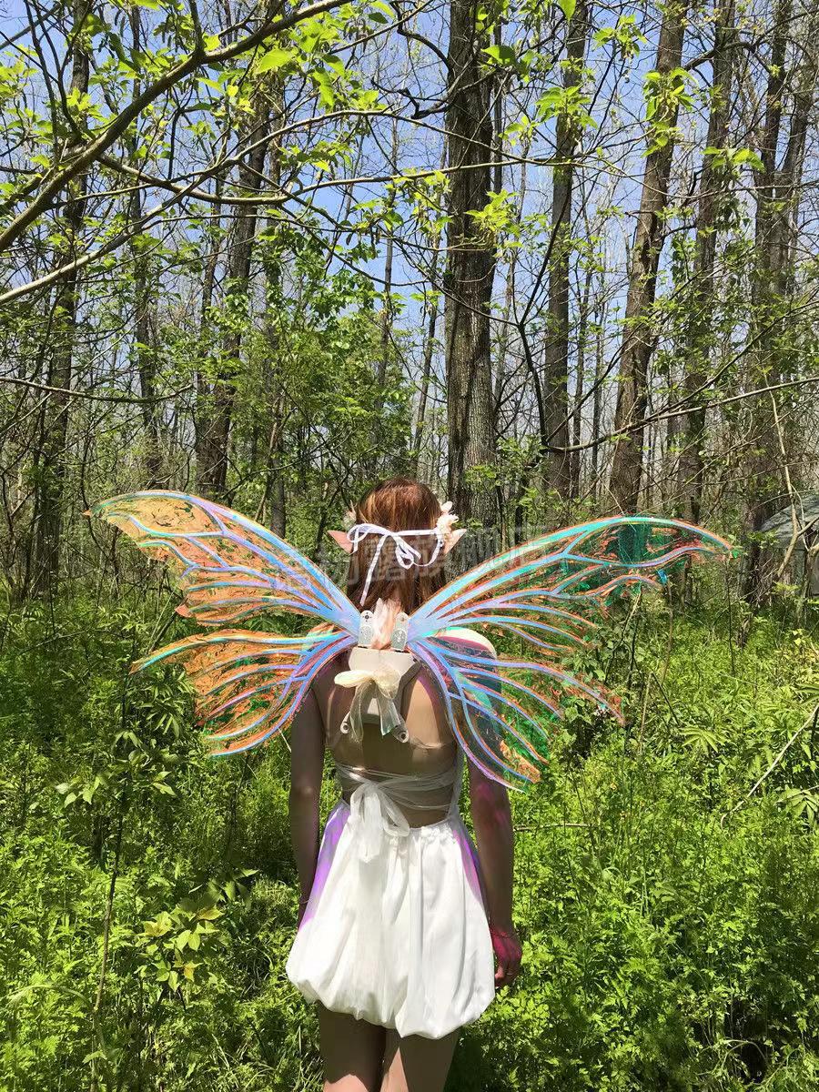 精灵花仙子的翅膀电动定制电动蝴蝶翅膀背饰cos精灵小女孩背的翅膀