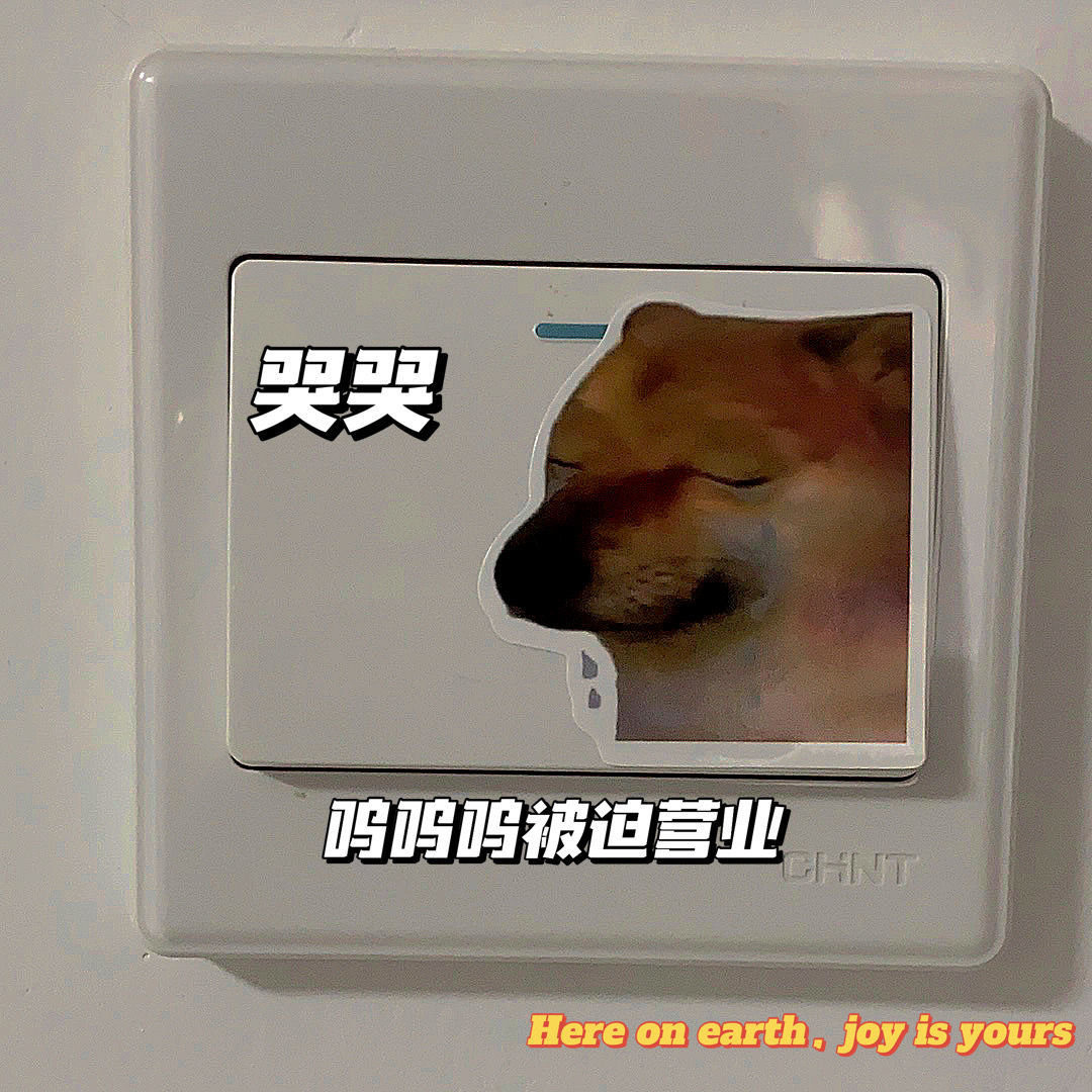 cheems流泪猫表情包贴纸笔记本电脑ipad手机咖啡杯水杯防水贴纸画