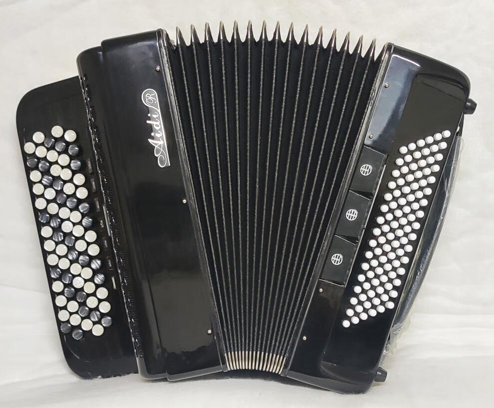 爱迪牌手风琴 8/60/80/96/120贝司b/c轻型巴扬手风琴键钮式琴轻体琴