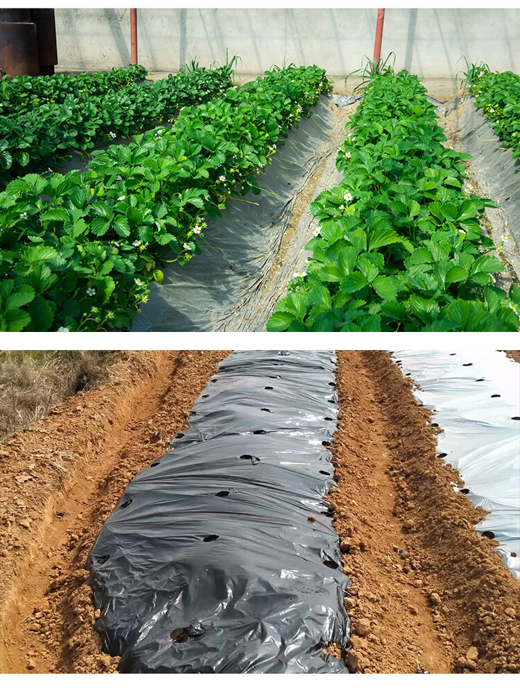 纳邦 加厚地膜双色反光膜黑色除草膜农用黑白膜保温保湿果园增色银光