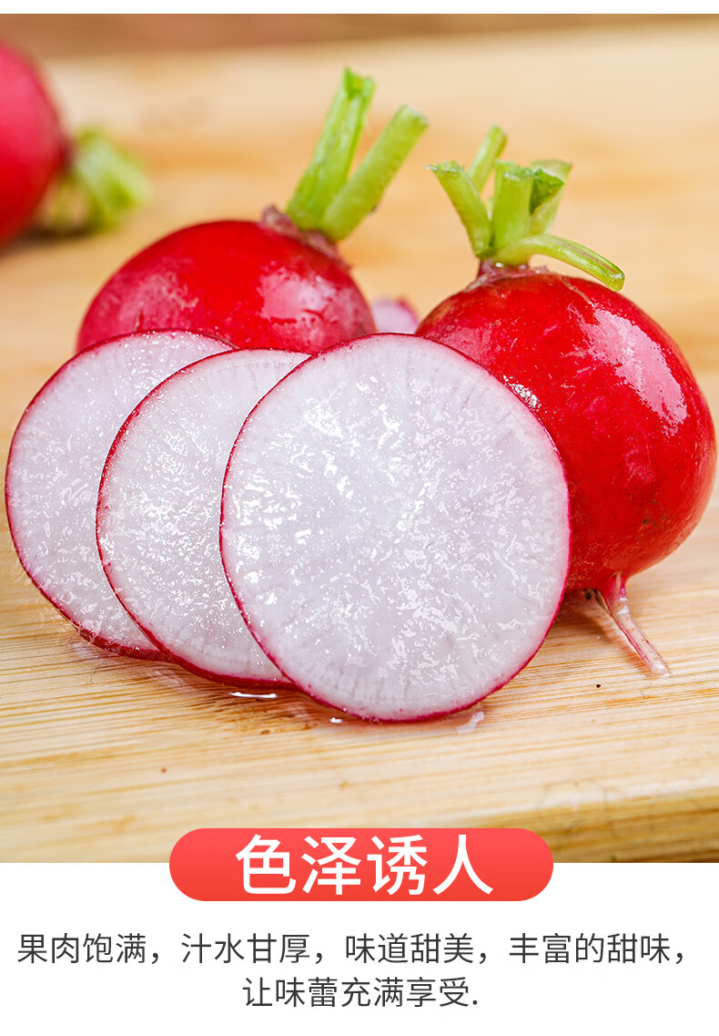 新鲜樱桃萝卜红丁当季水果小红萝卜红丁甜脆青潍坊胡萝卜蔬菜3斤