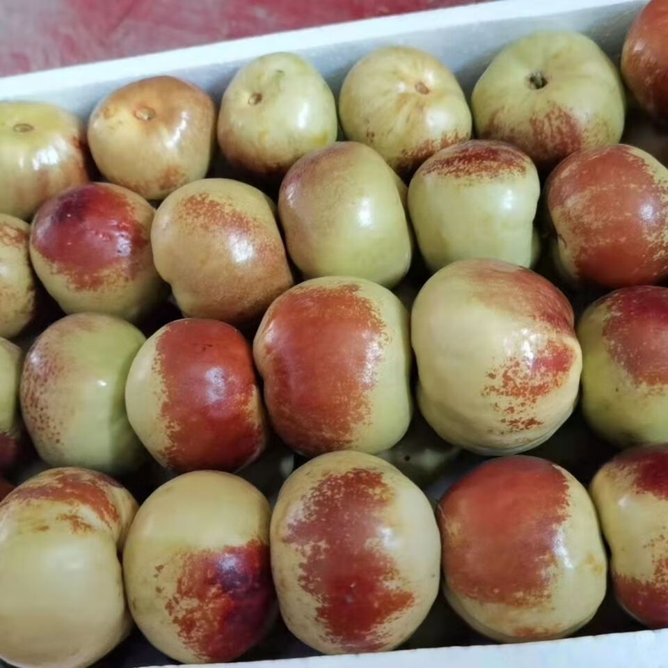 蟠枣新鲜脆甜沾化冬枣三代大果孕妇儿童老人水果精礼品 大果三斤