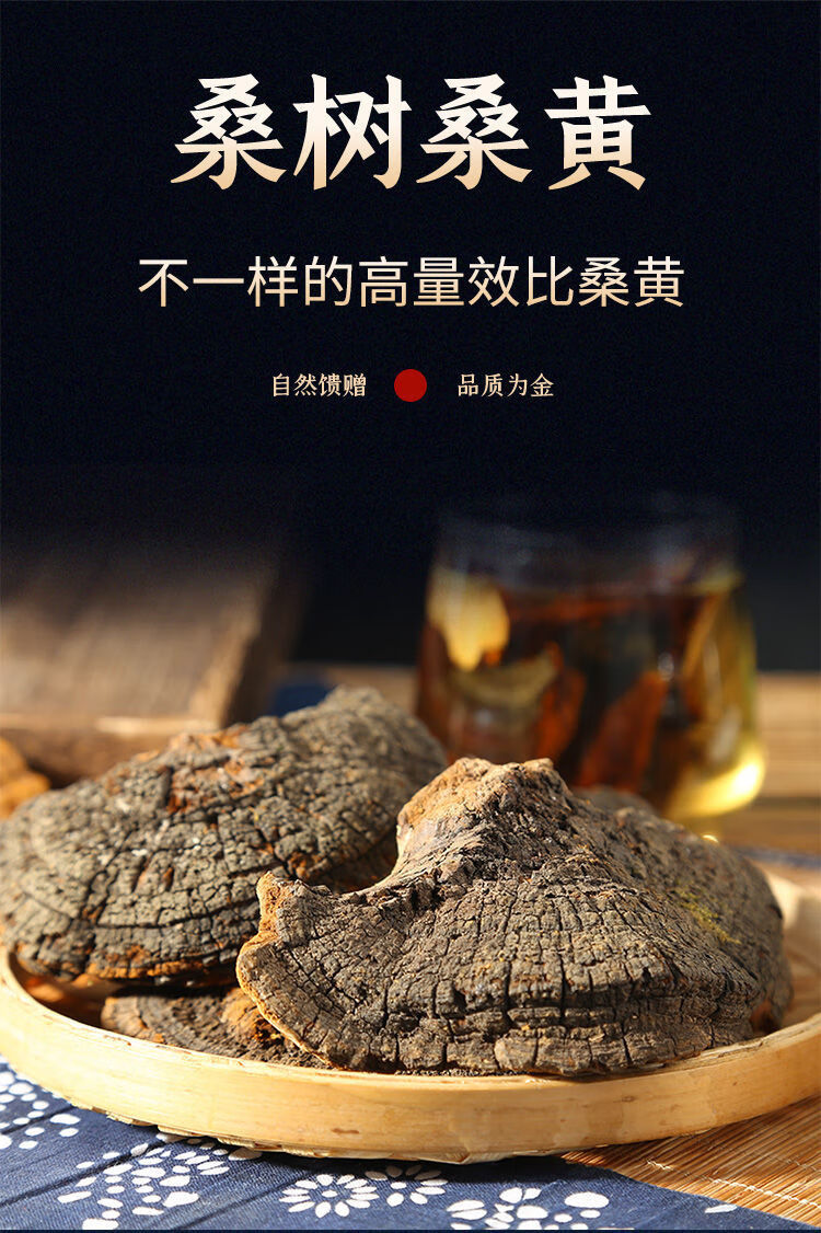 野生桑黄养生山货整枝打磨桑树灵芝长白山桑黄菌干品泡茶泡酒九九和仁