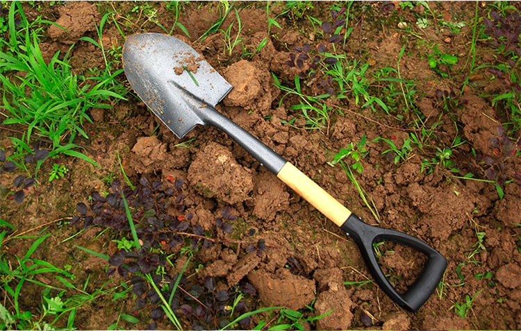 2022植树节铲子锰钢小铲子小铁锹挖土加厚园艺农用铁铲植树节工具户外