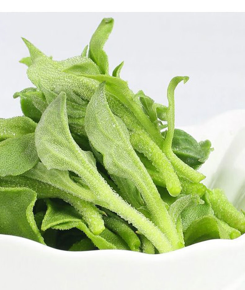 冰菜冰草种子水晶农家四季播蔬菜易种菜籽阳台秋季冬季盆栽菜籽种籽