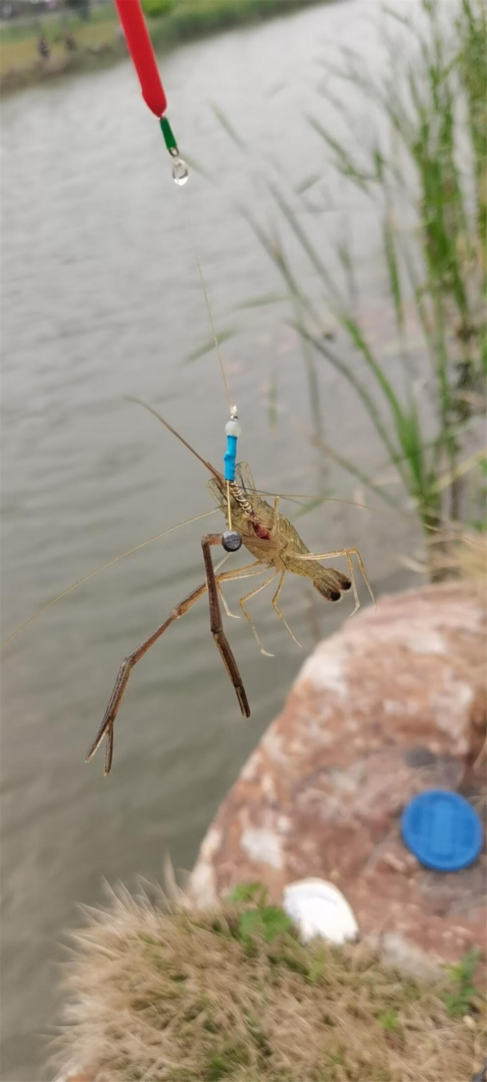 钓虾神器 草虾河虾青虾钩子 钓河虾神器 钓虾钩 草虾钩子河虾钩子 一