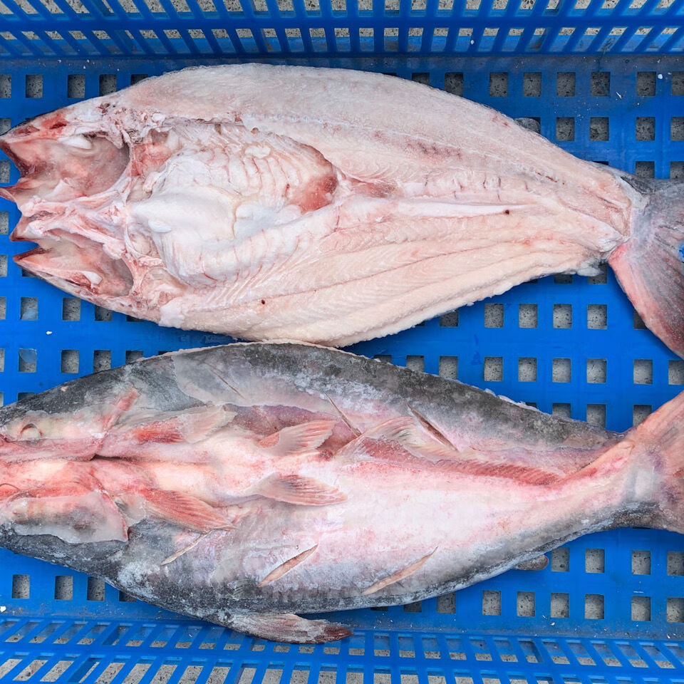 干冰开背巴沙鱼 冰冻湄公鱼龙利鱼烤鱼20斤9-11只装 宏嘉睿 700-900