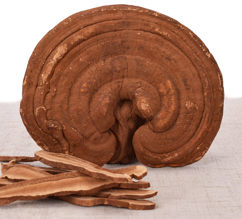 灵芝长白山赤灵芝500g野生整只灵芝切片干货泡茶 250克 整朵【图片