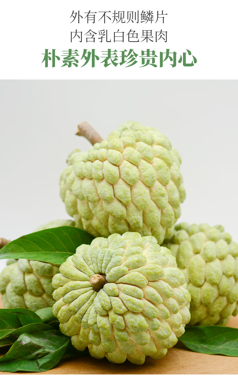 顺丰特大果 5斤大目释迦果新鲜水果牛奶林檎番荔枝整箱广东10 1000g