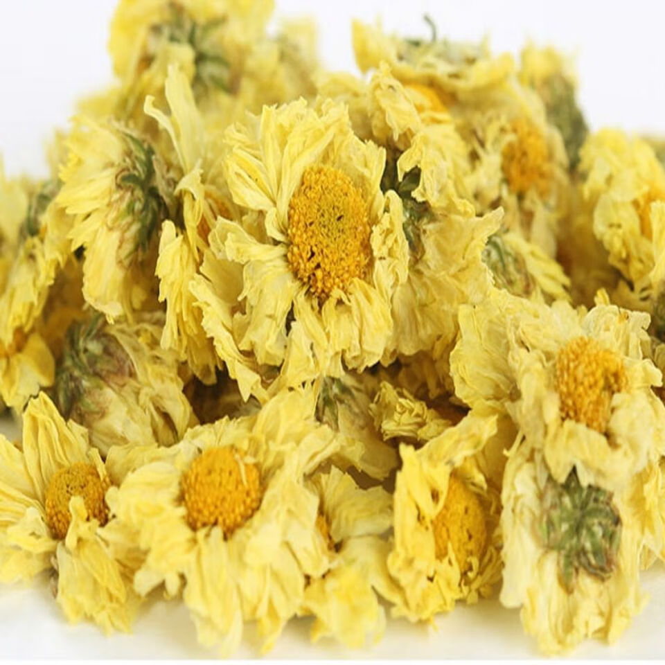 官方旗舰菊花茶杭白菊特级桐乡杭菊白菊花草茶50g500g杭白菊100克