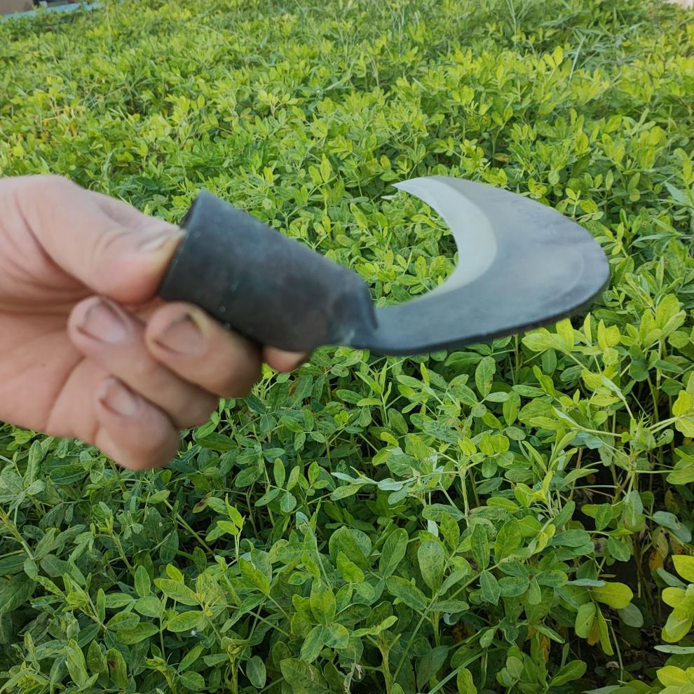 农用割草镰刀老田头钐刀锰钢镰刀头加厚材质锄草开荒工具 灰色 60