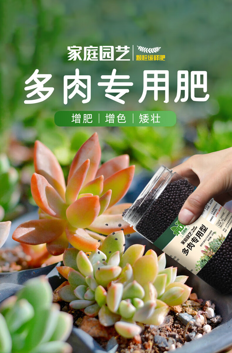 多肉专用缓释颗粒肥料复合肥花肥料家用通用型仙人球盆栽植物专用新手
