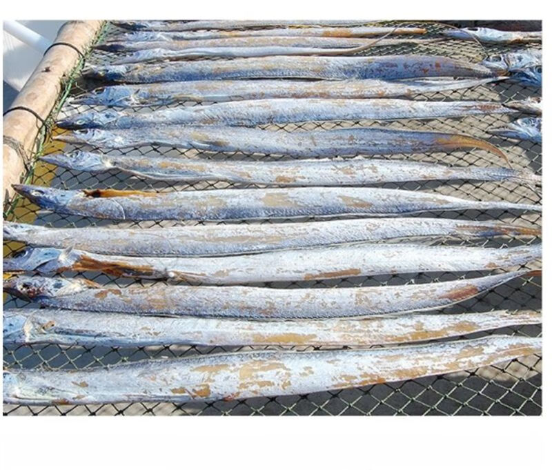 新曬帶魚乾半乾鹹帶魚500g刀魚鹹大帶魚海產乾貨去頭去尾魚福茹洲精選