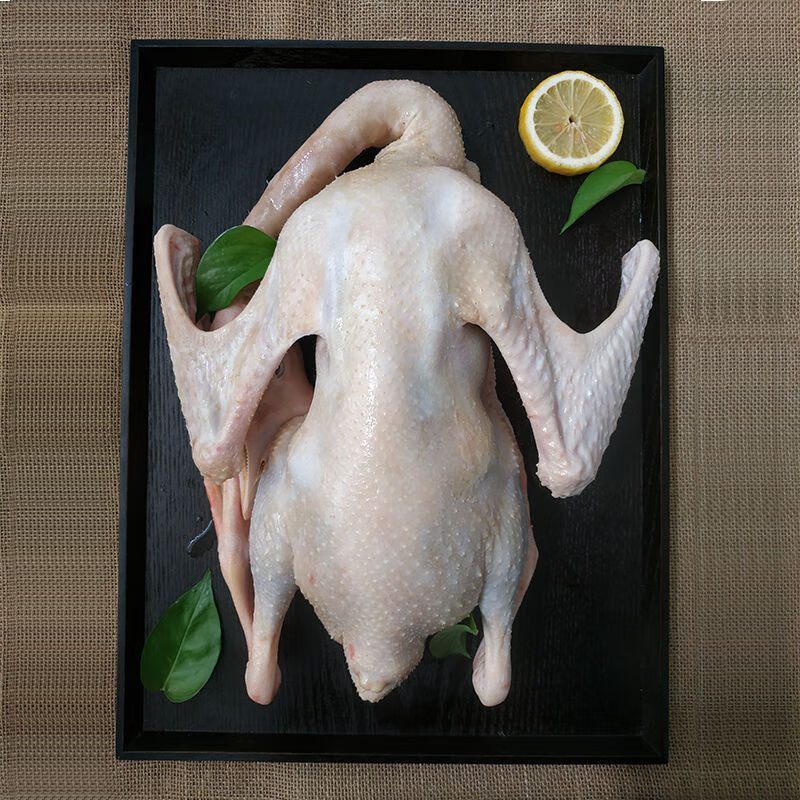 农家放养大白鹅东北土鹅整只鹅肉鹅心肝鹅掌炖大鹅食材新鲜禧客鲜山东
