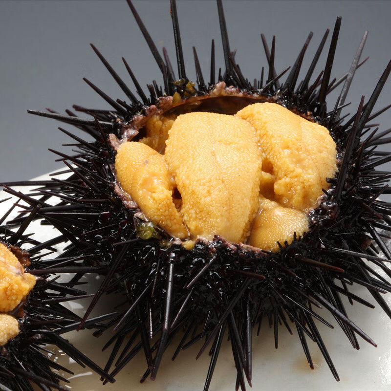 大洋岛连昱海胆罐头 新鲜海胆罐头 140g/罐 即食原汁海胆酱寿司刺身