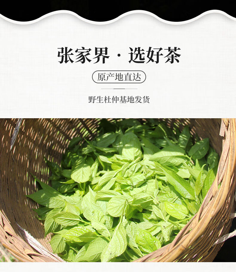 张家界杜仲茶图片