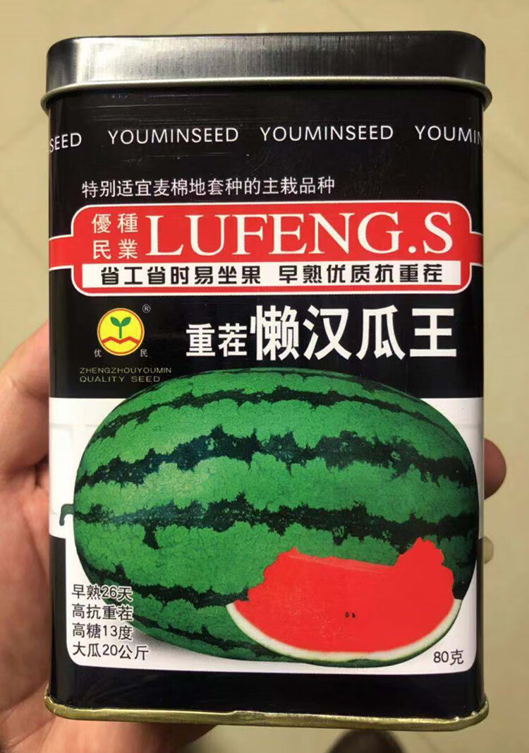 西瓜种籽孑巨型懒汉瓜王麒麟甜王四季水果早熟脆甜多汁大西瓜种子