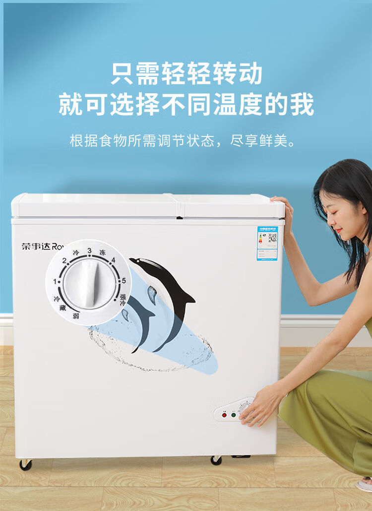 荣事达家用两门小冰柜冷冻冷藏商用大容量小型冰箱迷你省电冷冻柜we