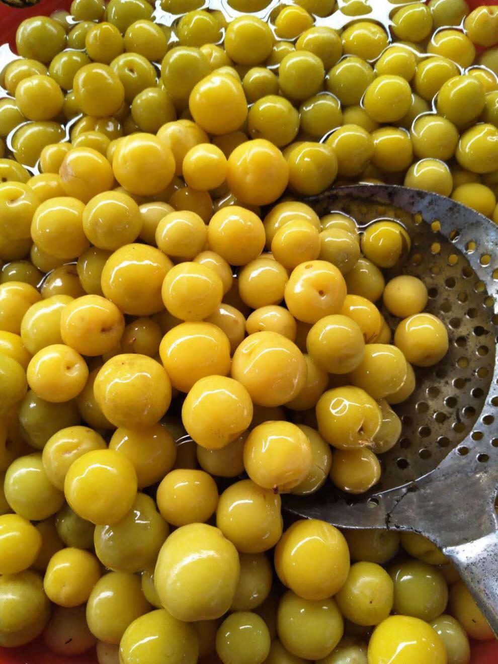 南宁特产酸李子腌制酸嘢广西特产正宗酸料酸甜脆250g袋密封包装不辣