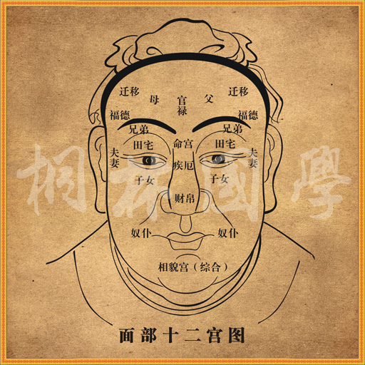 装饰画面相图 百岁流年图 古代传统文化复古画182 百岁流年淡黄色 60*