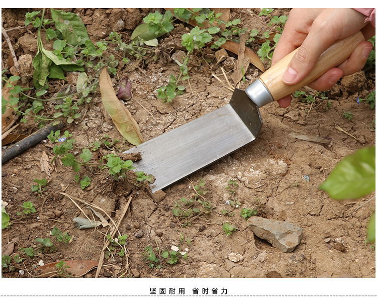 挖野菜小铲子花铲木柄铁柄铲子除草铲栽花移苗铲户外园艺工具大号8分