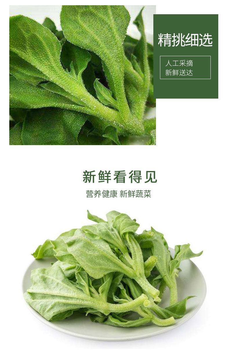 山东新鲜冰菜冰草35斤非洲冰菜花冰叶火锅即食生吃沙拉菜蔬菜特产三斤