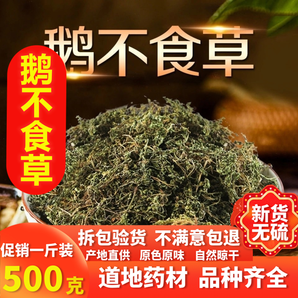 中藥材鵝不食草野生新鮮乾貨500g食胡荽鵝不食鵝不食草粉末