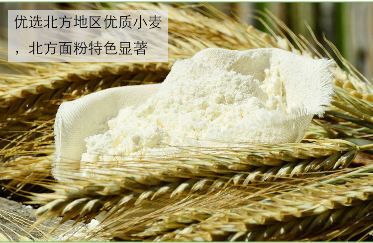 甘青特一粉甘肃面粉 10kg 20kg 特制一等粉 家用烘培蛋糕包子面条馒头