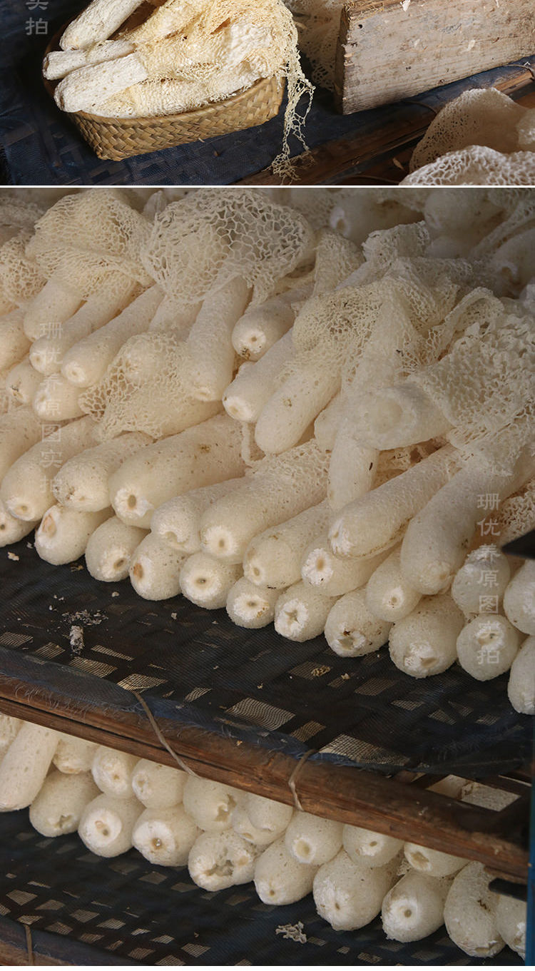 农家古田竹荪干货特级野生煲汤竹笙菌菇蘑菇无硫特产2020新货竹荪蕾荪