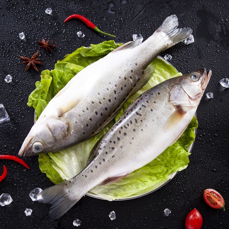 海鲈鱼冰冻生鲜鱼类冷冻海鱼海卢鱼整条七星鲈鱼鲜活新鲜卢鱼二条装