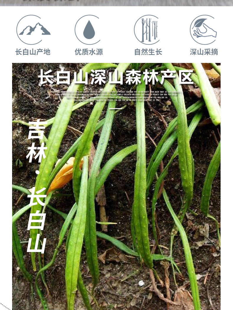 长白山肾精茶草野生石韦茶肾精草养生肾茶男性50g东北特产【图片 价格