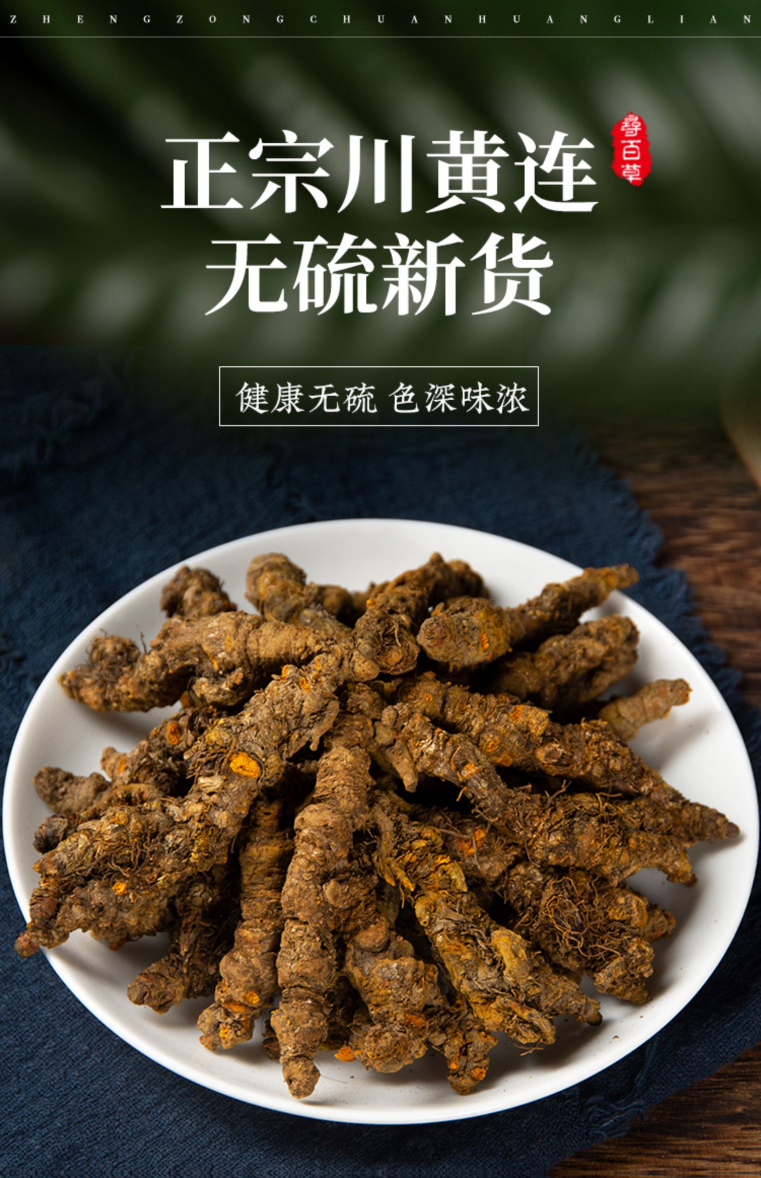 单支黄连川连中药材川黄莲片根中药黄连粉100g 100克川黄连个【图片