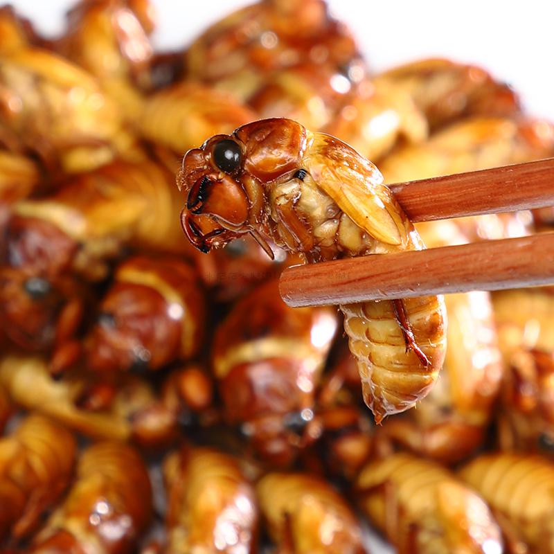 新鲜2021年爬叉猴唐僧肉蛹白蝉爬拉猴节流嫩知了竹蝉定制礼包 金蝉竹