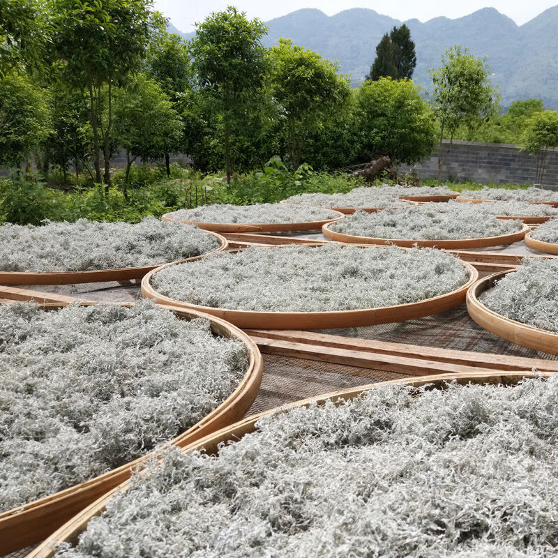 5折恩施藤茶富硒来凤特产级龙须滕茶黄酮原生态养生茶500g