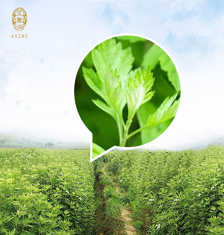 艾馨尚艾叶灸条42节三年陈艾手工制成用于睡眠质量差1盒42节