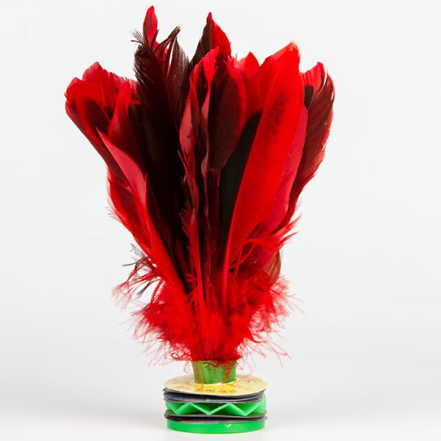 耐踢鸭毛毽子 大号彩色羽毛儿童比赛专用毽球牛筋底八彩8彩毽子 健身