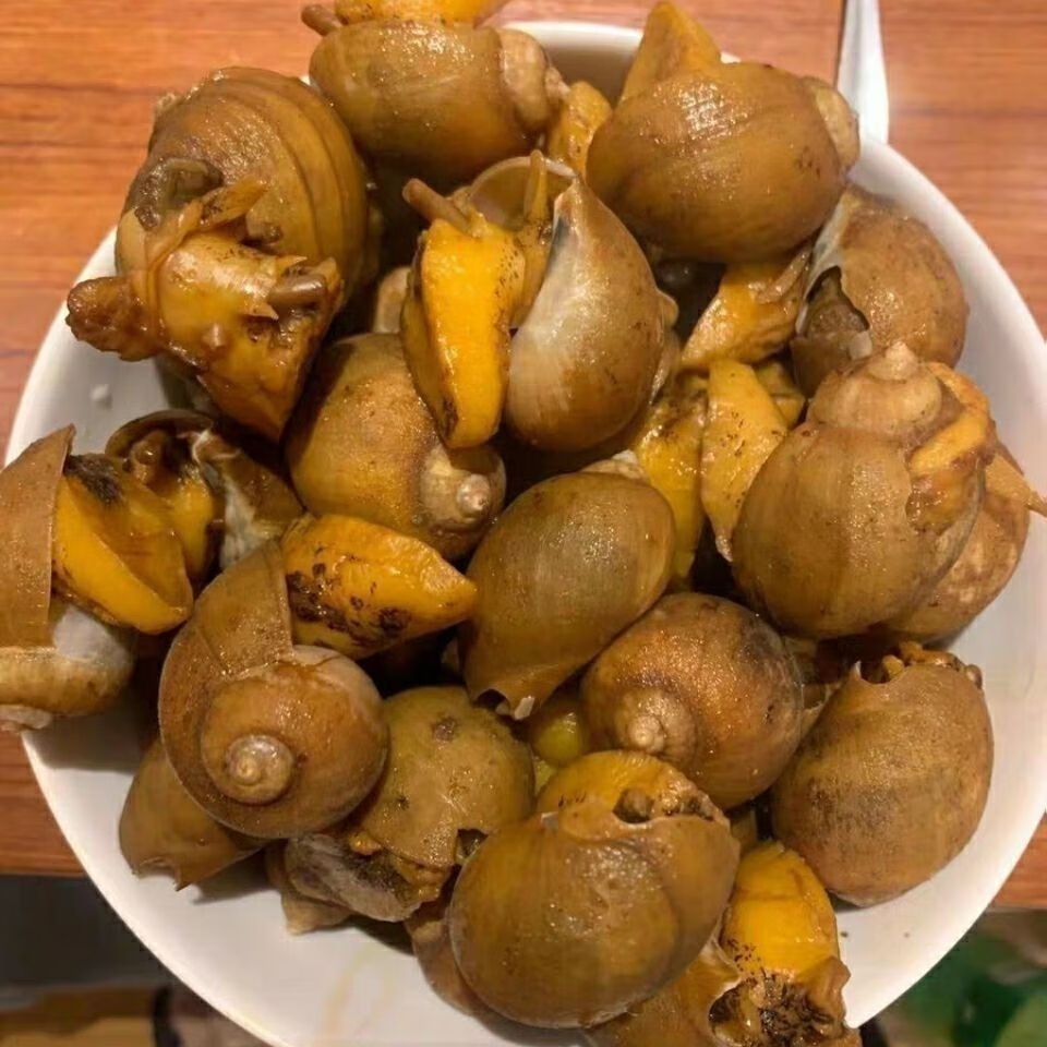 蜗牛熟冻带壳大脚螺新鲜海鲜贝类半斤装不带黄精品老婆脚带黄无冰衣