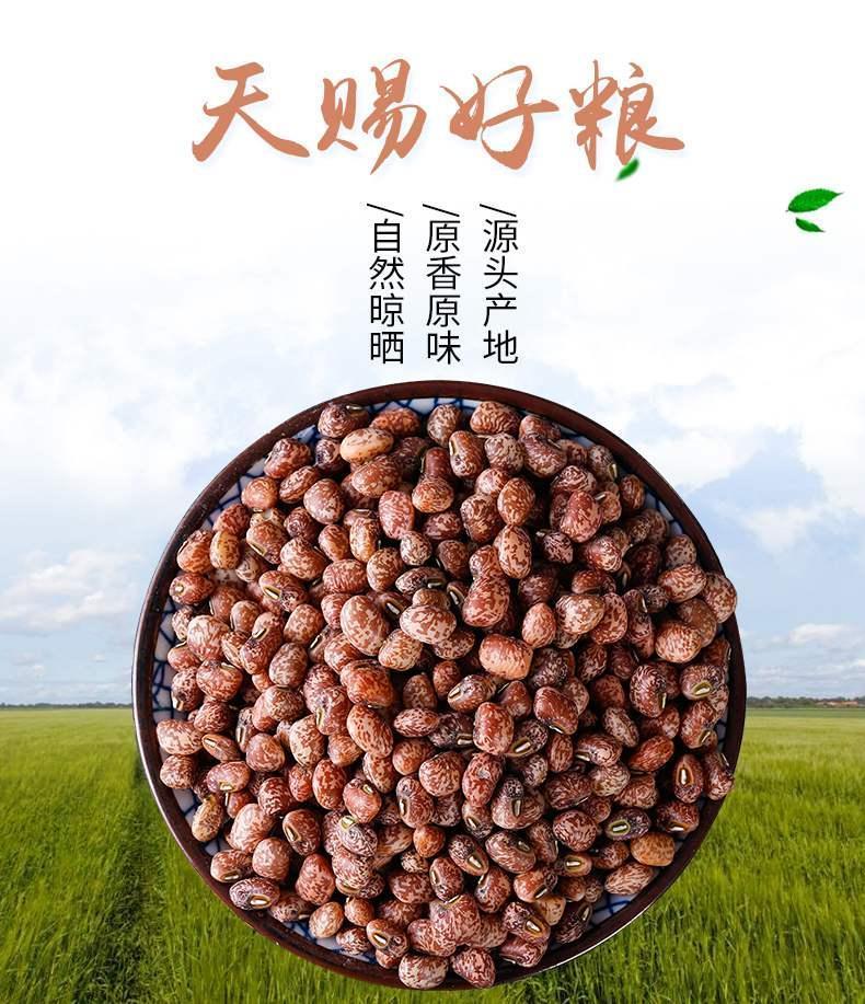 新货麻豇豆豇豆眉豆饭豆花豇豆农家自产散装豆子豆馅杂粮麻豇豆一斤装