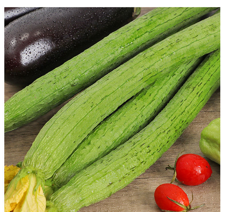 丝瓜新鲜批发绿皮丝瓜农家自种长丝瓜孕妇时3斤装丝瓜泡沫箱精品