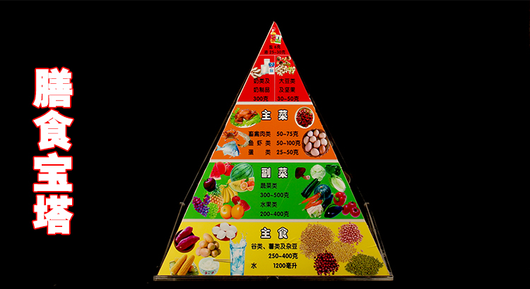 仿真食品中国居民平衡膳食宝塔模型健康食物营养金字塔交换份模型中版