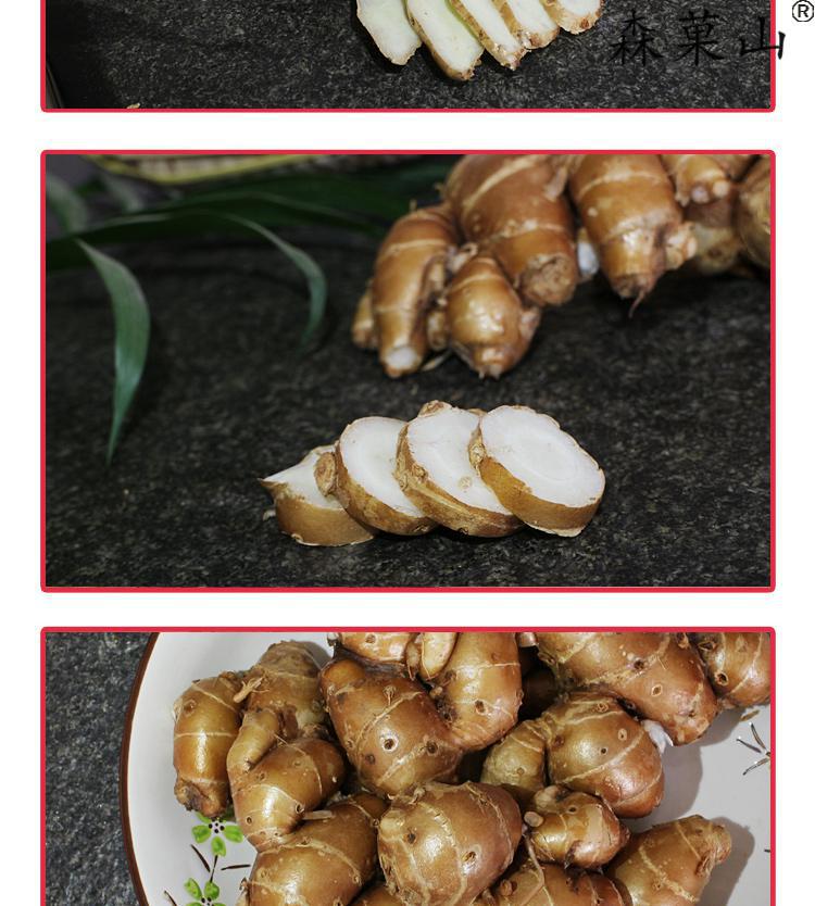 新鲜沙姜正宗广东茂名特产沙姜山奈白切鸡调味配料老生姜1斤